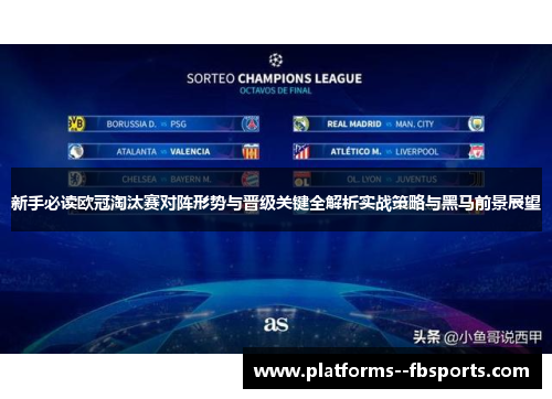 新手必读欧冠淘汰赛对阵形势与晋级关键全解析实战策略与黑马前景展望