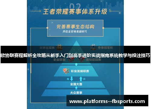 欧协联赛程解析全攻略从新手入门到高手进阶实战指南系统教学与投注技巧