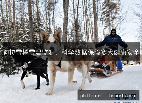 狗拉雪橇雪温监测，科学数据保障赛犬健康安全