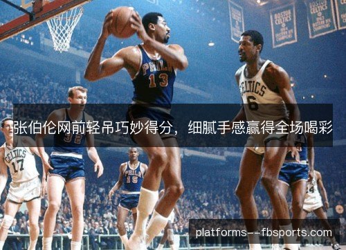 张伯伦网前轻吊巧妙得分,细腻手感赢得全场喝彩 张伯伦网前轻吊巧妙得分,细腻手感赢得全场喝彩